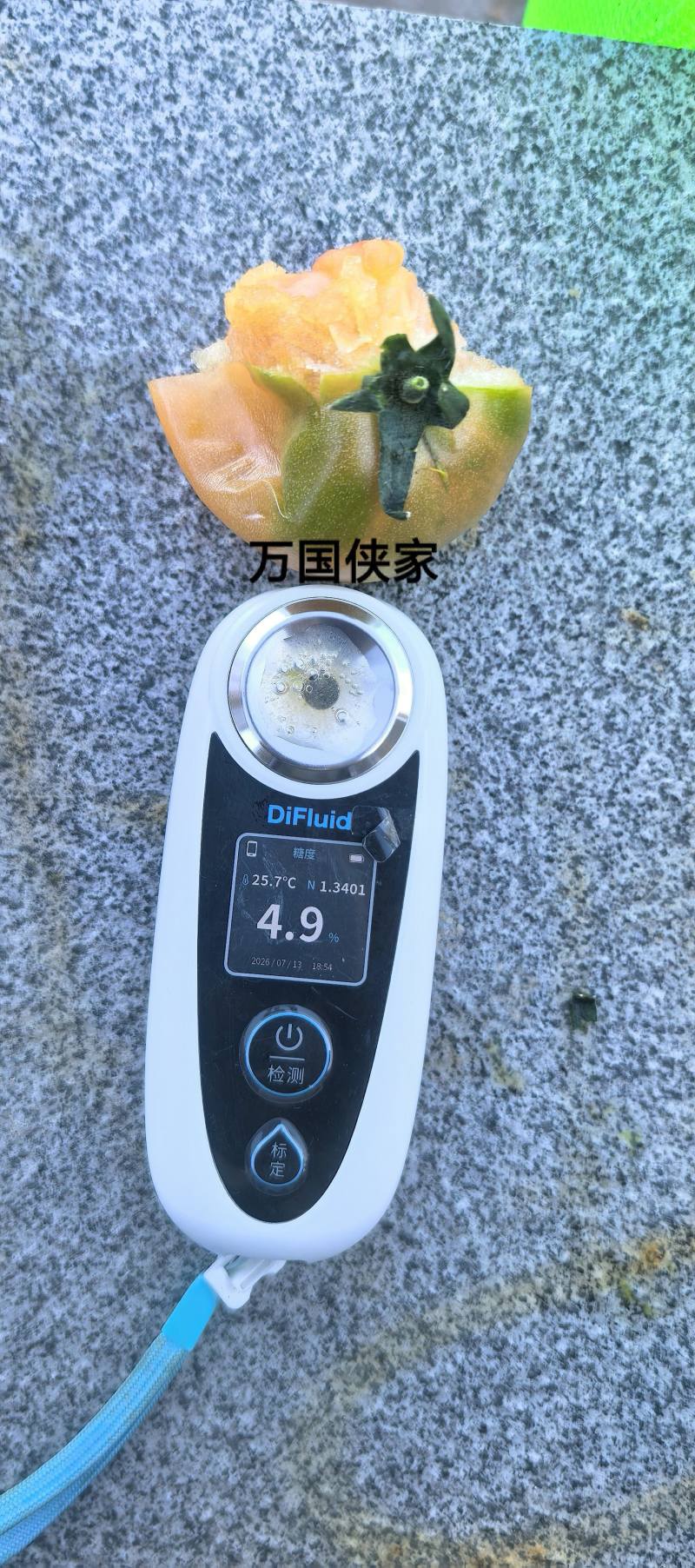 青肩型大口感番茄3-5两大草莓冷棚大量下货