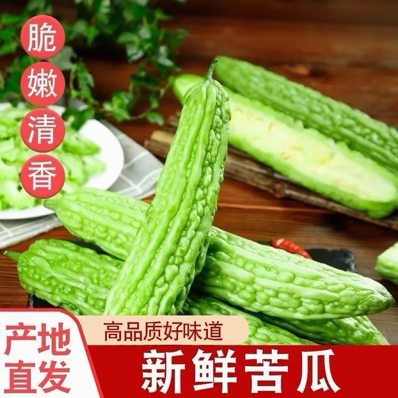 青苦瓜，油绿苦瓜产地大量有货，保质保量。