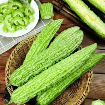 湖北苦瓜青苦瓜大麻小麻油苦瓜对接全国市场电商