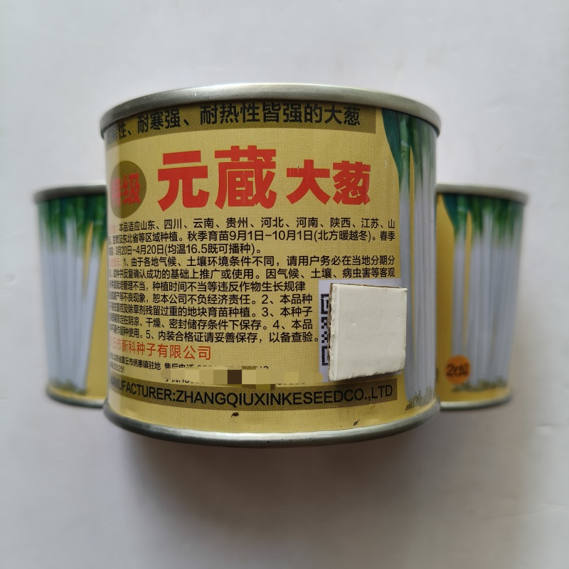 元藏大葱种子耐寒耐热抗病耐旱高产优质大葱种籽抗倒伏