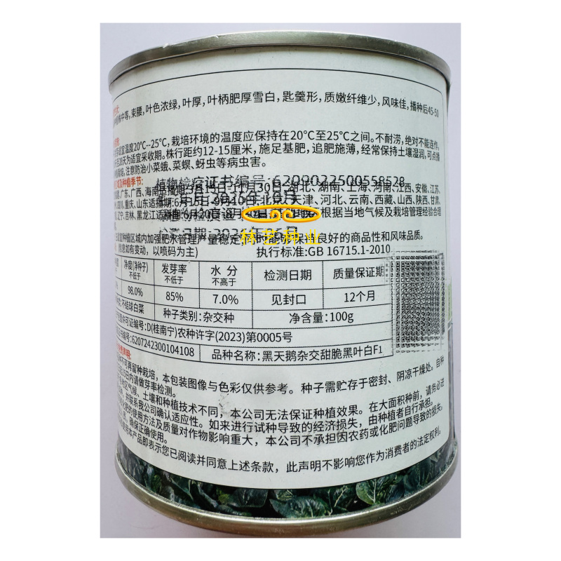 黑天鹅杂交甜脆束腰黑叶白菜种子梗白纤维少阳台菜园高产易种