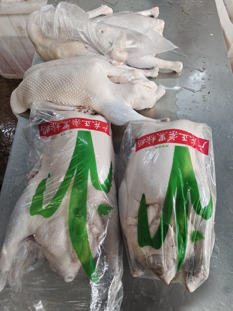 黑棕鹅源头货源以质量为主