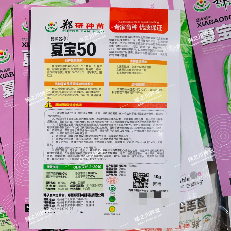 郑研种苗夏宝50大白菜种子早熟耐热耐湿大白菜种籽夏秋栽培