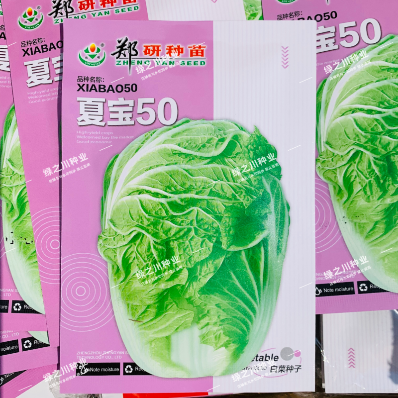 郑研种苗夏宝50大白菜种子早熟耐热耐湿大白菜种籽夏秋栽培