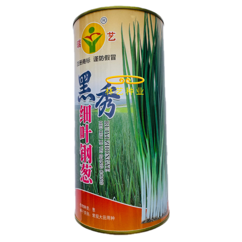 黑秀钢葱种子耐热耐寒抗病细叶硬杆香葱种籽大田用种