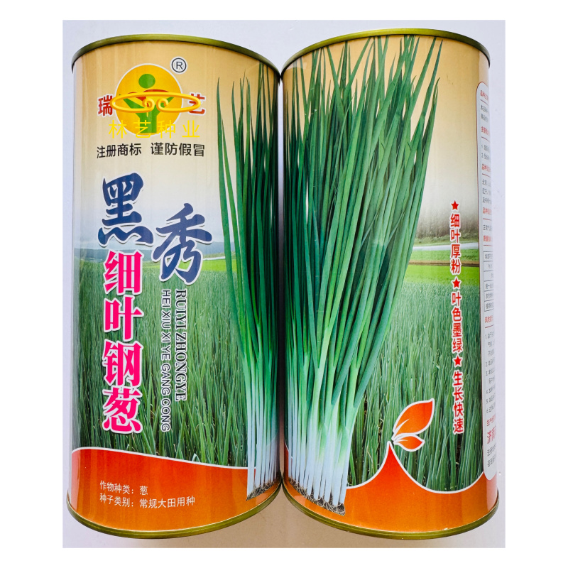 黑秀钢葱种子耐热耐寒抗病细叶硬杆香葱种籽大田用种