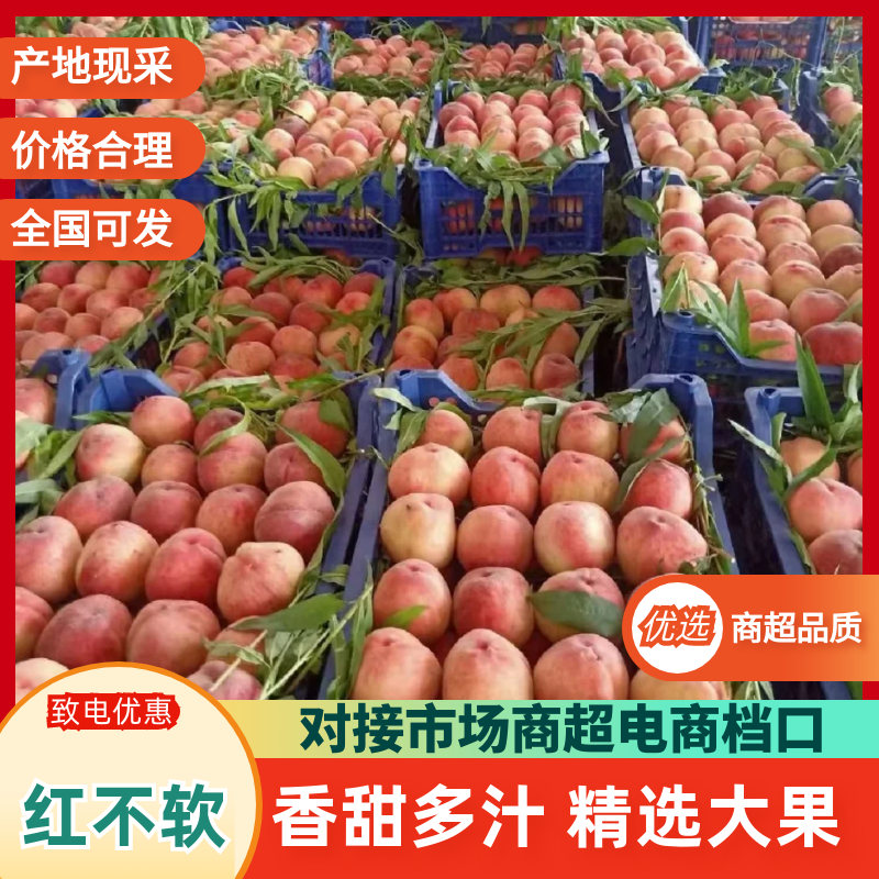 《红不软毛桃》陕西桃子/产地现摘/量大从优/欢迎来电