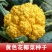 黄金80中熟金黄色花菜种子球型高圆籽粒细且均匀梗浅绿脆甜