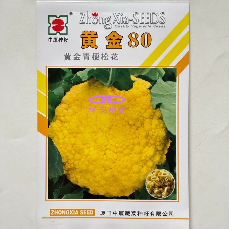 黄金80中熟金黄色花菜种子球型高圆籽粒细且均匀梗浅绿脆甜