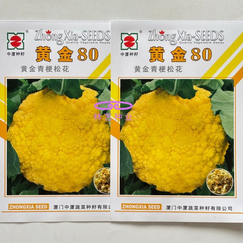 黄金80中熟金黄色花菜种子球型高圆籽粒细且均匀梗浅绿脆甜