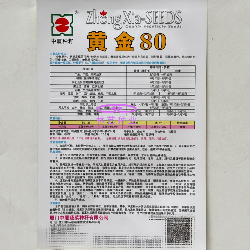 黄金80中熟金黄色花菜种子球型高圆籽粒细且均匀梗浅绿脆甜