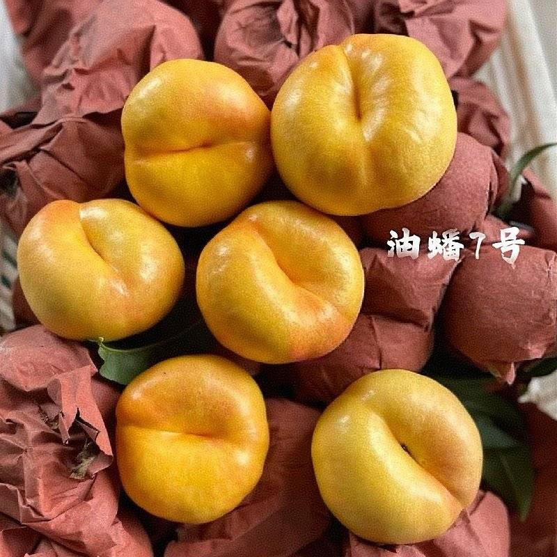 陕西油蟠桃『油蟠7号油蟠9号黄油蟠桃』产地代发全国