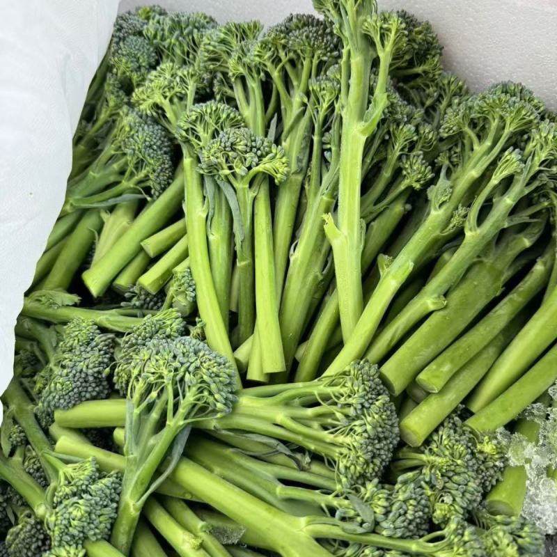 斯利美早熟青花苔种子分枝多耐高温产量高花茎纤维少口感香甜