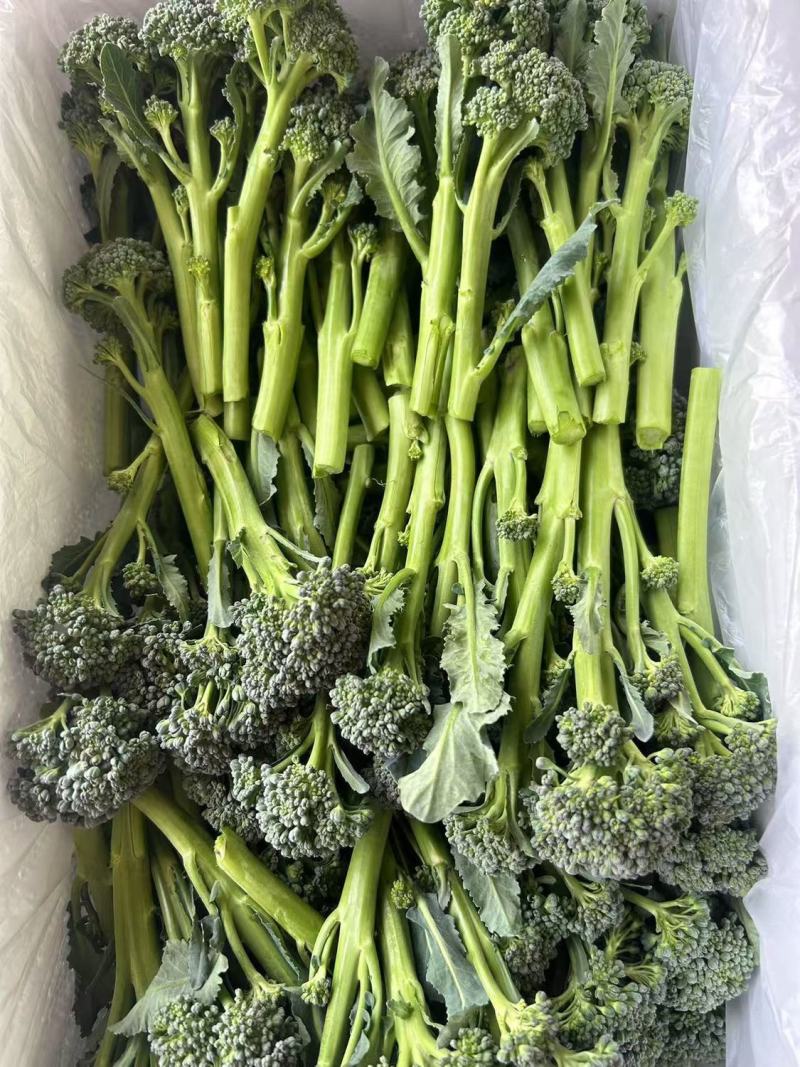 斯利美早熟青花苔种子分枝多耐高温产量高花茎纤维少口感香甜