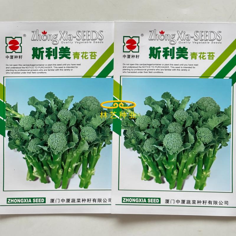 斯利美早熟青花苔种子分枝多耐高温产量高花茎纤维少口感香甜