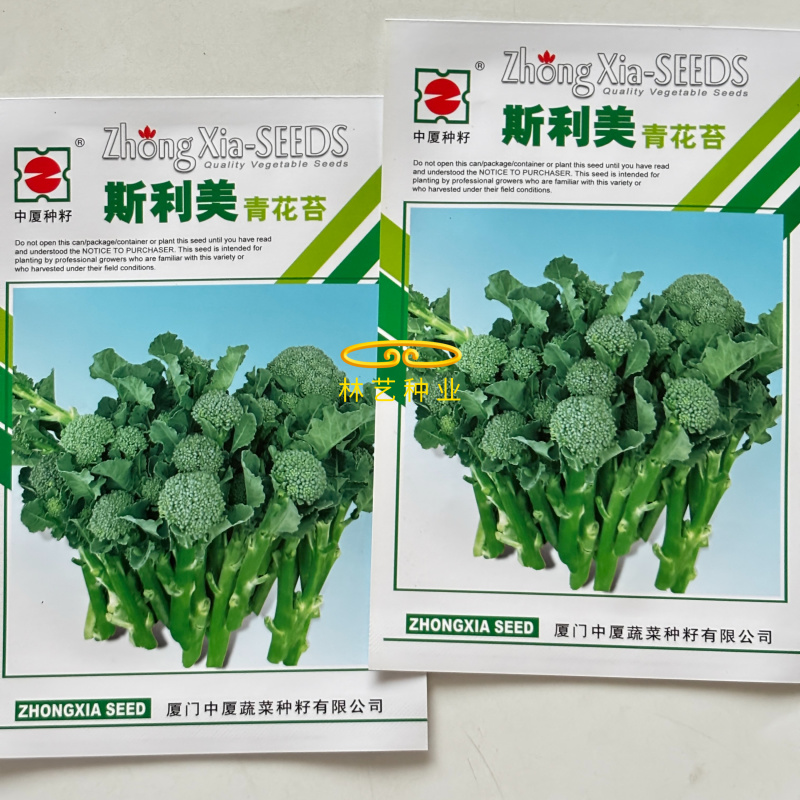 斯利美早熟青花苔种子分枝多耐高温产量高花茎纤维少口感香甜