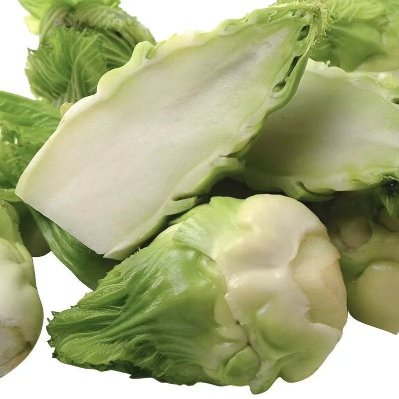 胖子罐儿菜种子薄皮脆嫩粗壮高产抗病商品性佳秋季播
