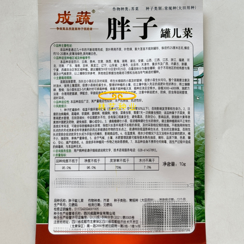 胖子罐儿菜种子薄皮脆嫩粗壮高产抗病商品性佳秋季播