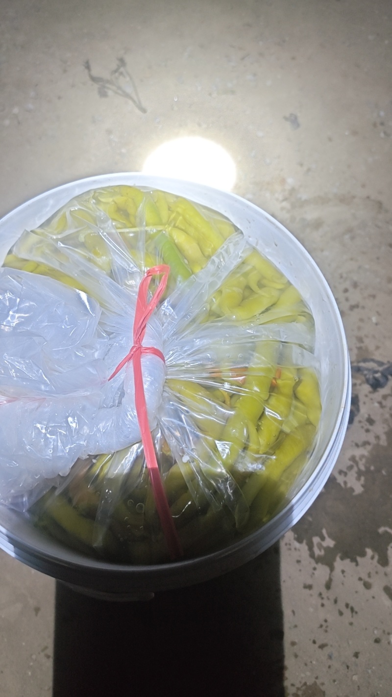 【泡菜】酸辣椒，泡辣椒买10吨送1吨，另外奖励3到5千元