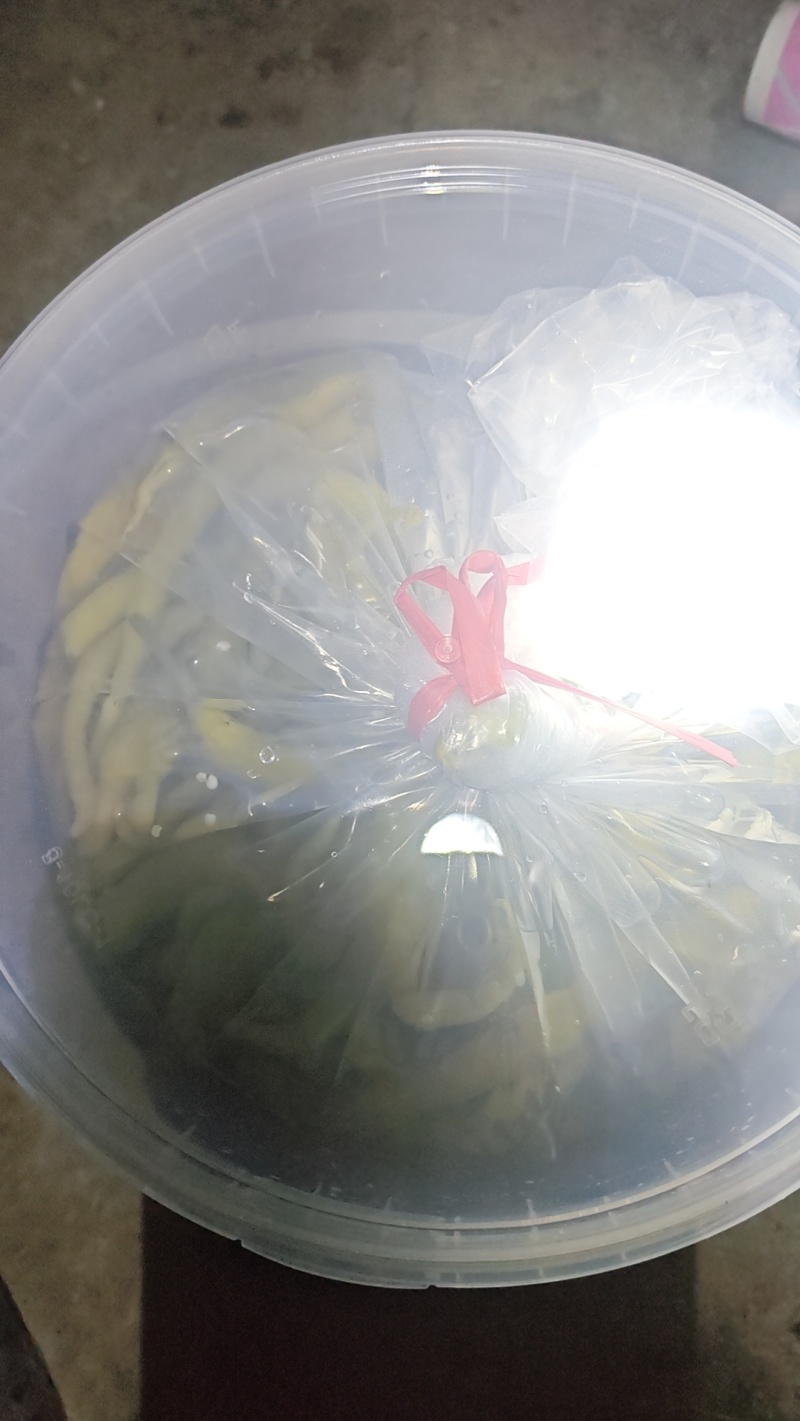 【泡菜】酸辣椒，泡辣椒买10吨送1吨，另外奖励3到5千元