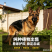 纯种德国牧羊犬骨架大忠诚护主，看家陪伴放牧全能疫苗