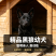 纯种中华黑狼犬通体乌黑骨架壮，忠心护主看家护院好驯