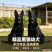 纯种中华黑狼犬通体乌黑骨架壮，忠心护主看家护院好驯