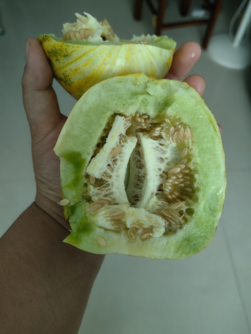 八里香甜瓜
