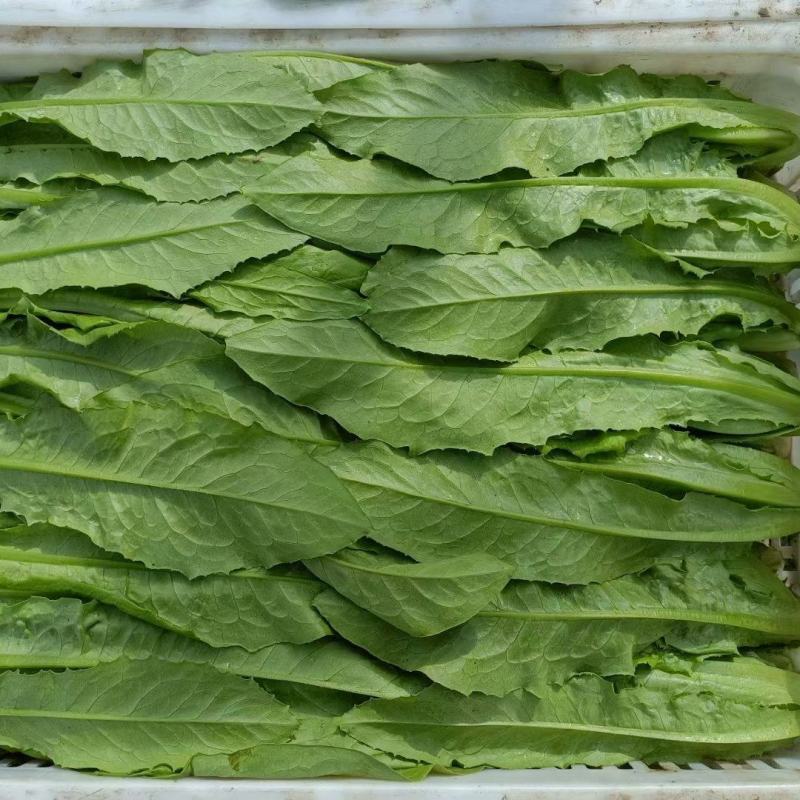 精品油麦