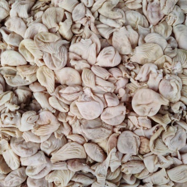 鸡小肚（鸡素皮）20吨