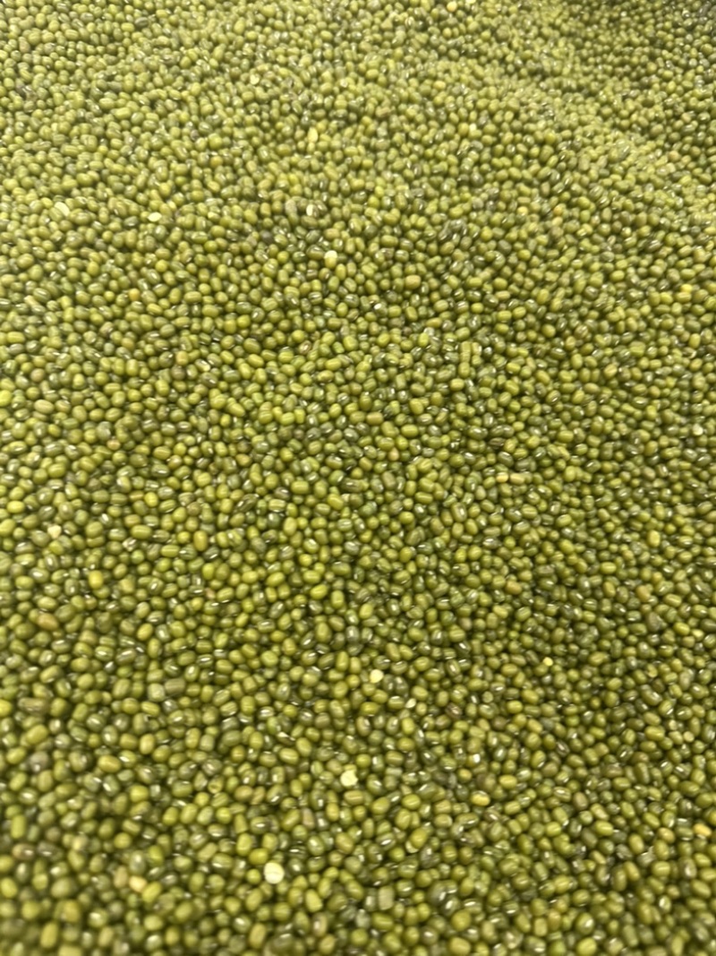 绿豆明绿豆好煮熟易出沙色泽好看质量有保证无铁豆