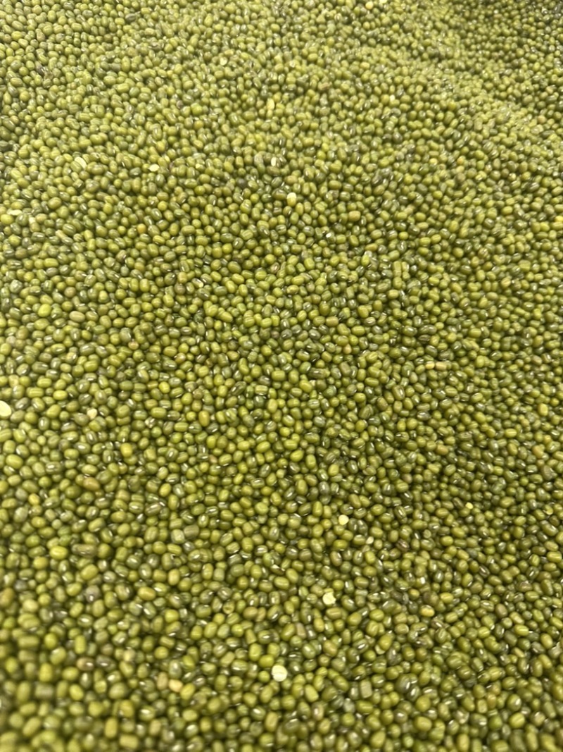 绿豆明绿豆好煮熟易出沙色泽好看质量有保证无铁豆