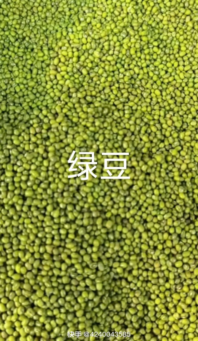 绿豆明绿豆好煮熟易出沙色泽好看质量有保证无铁豆