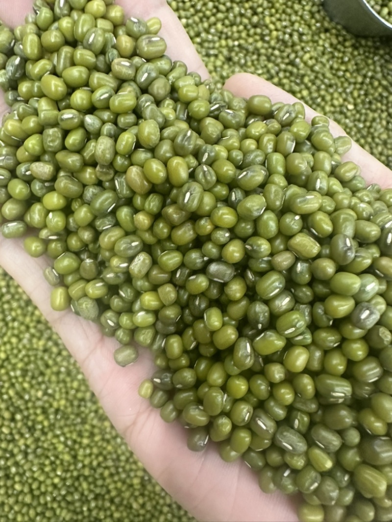 绿豆明绿豆好煮熟易出沙色泽好看质量有保证无铁豆