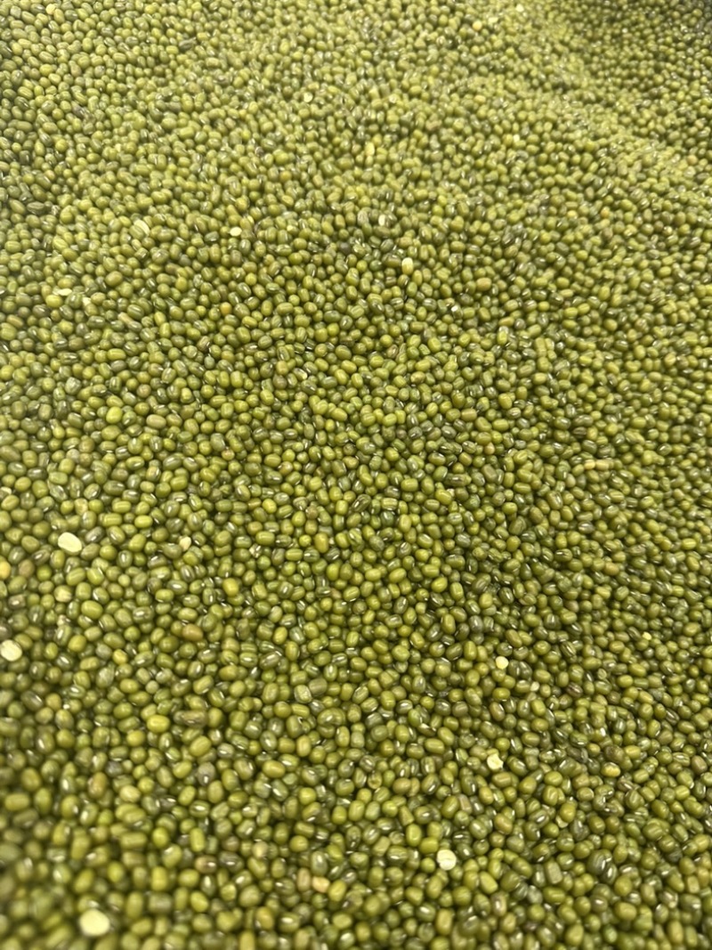 绿豆明绿豆好煮熟易出沙色泽好看质量有保证无铁豆