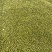 绿豆明绿豆好煮熟易出沙色泽好看质量有保证无铁豆