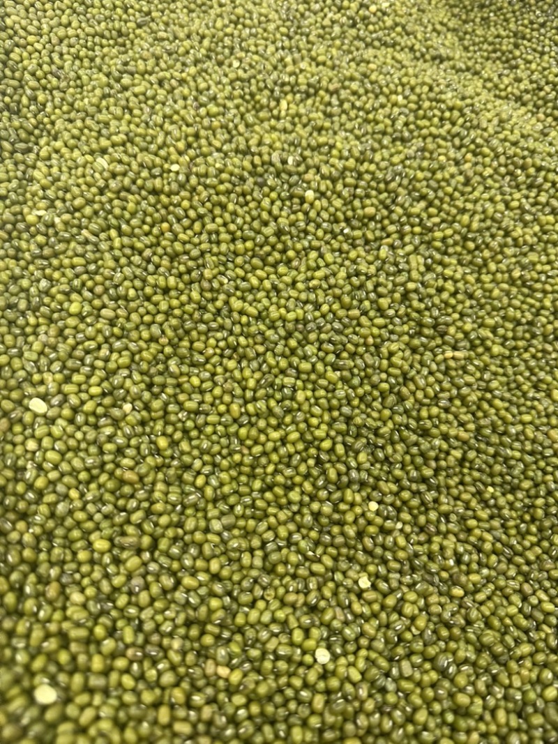 绿豆明绿豆好煮熟易出沙色泽好看质量有保证无铁豆