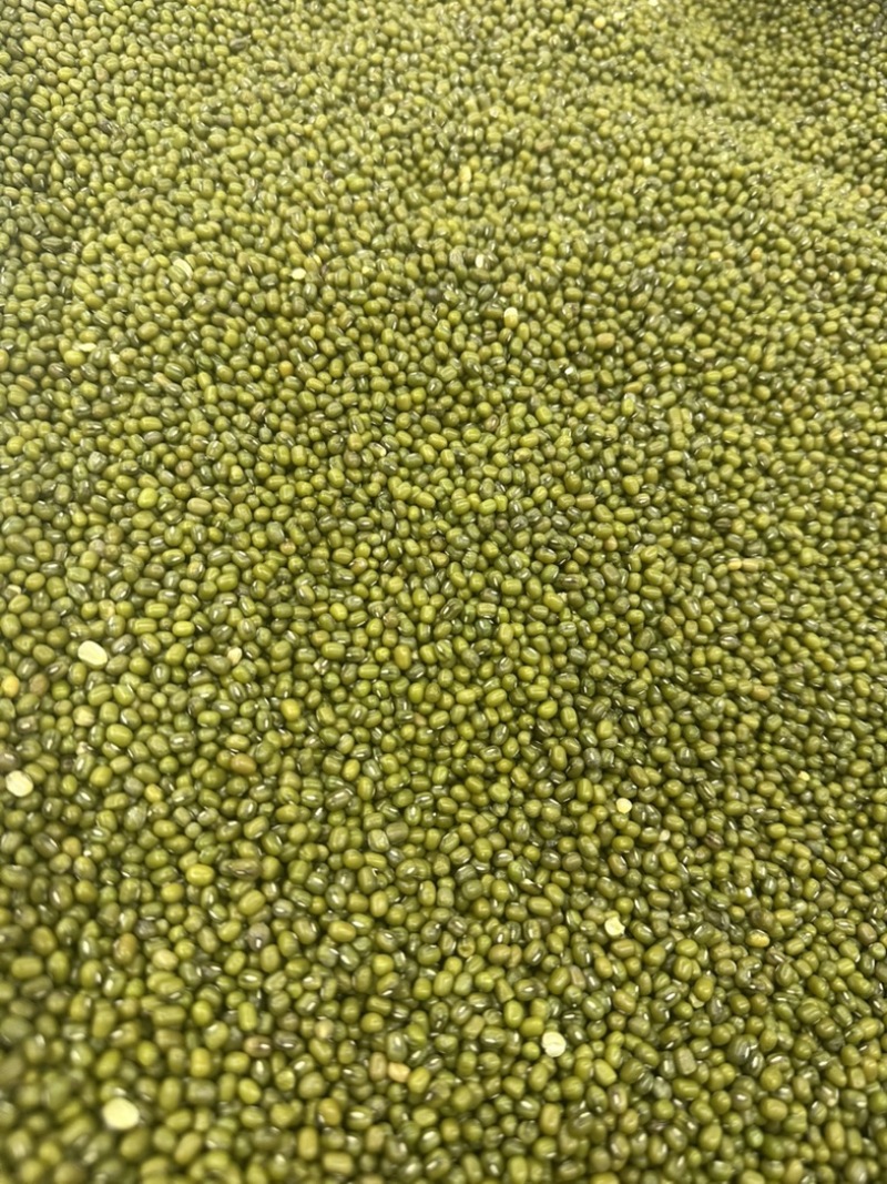 绿豆明绿豆好煮熟易出沙色泽好看质量有保证无铁豆