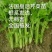 法国皇后