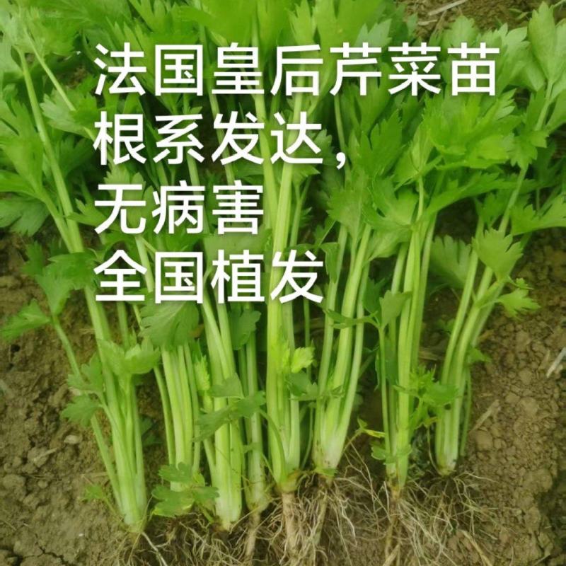 法国皇后