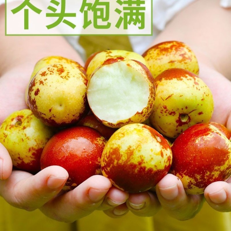 大荔冬枣