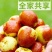 大荔冬枣