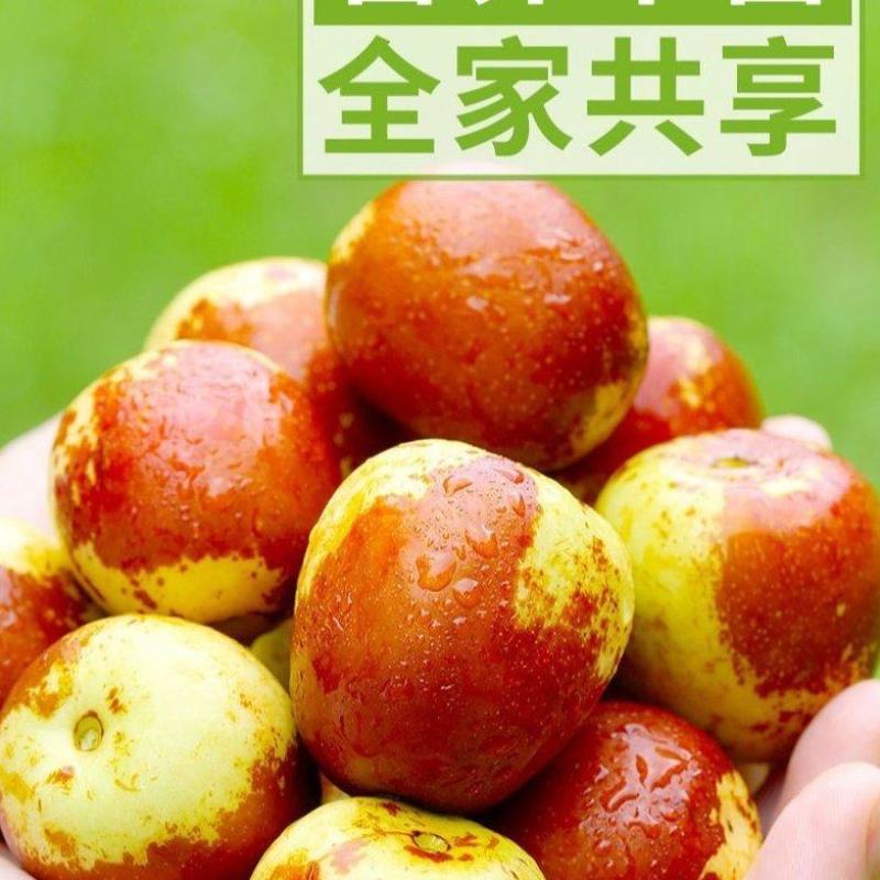 大荔冬枣