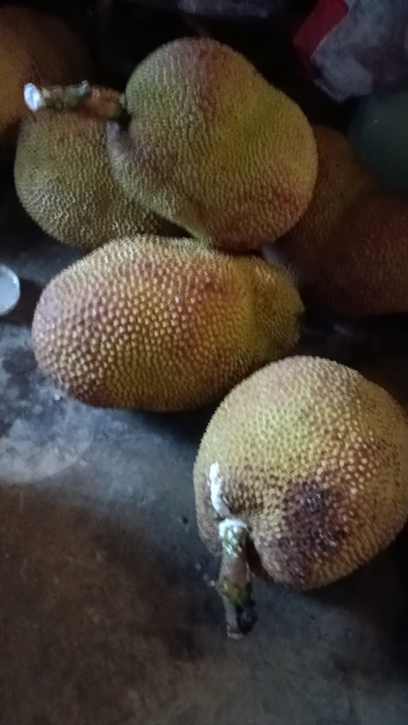 湿包菠萝蜜电商果