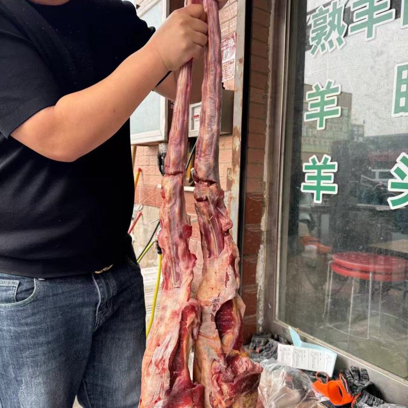 国产牛尾