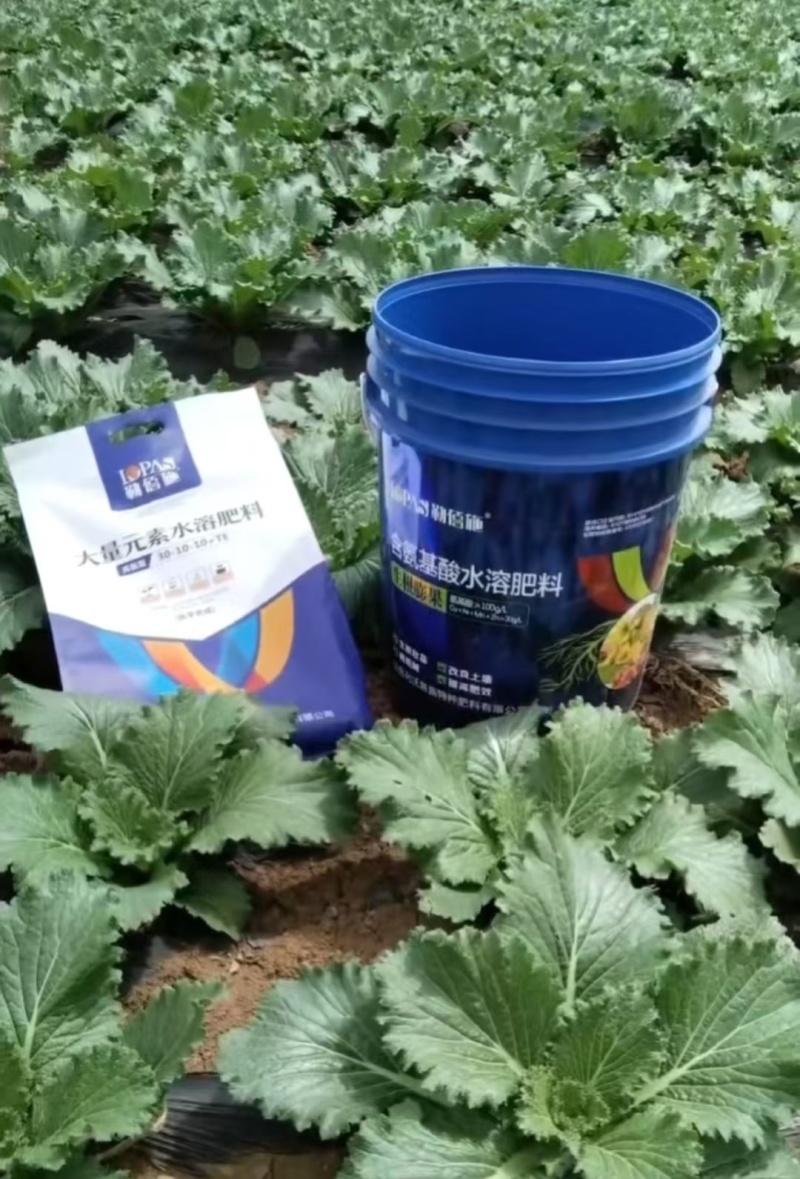生根膨果含氨基酸水溶肥冲施肥生根壮苗膨果转色欢迎来电