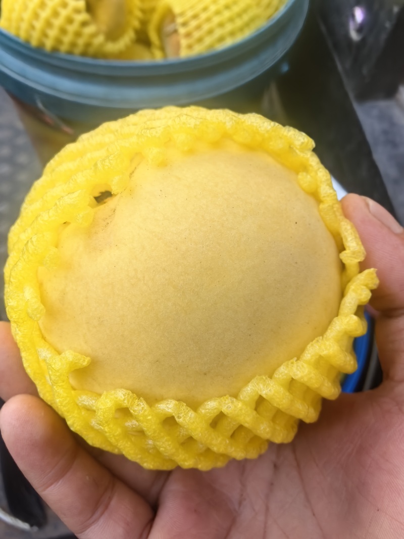 屏山红心黄桃