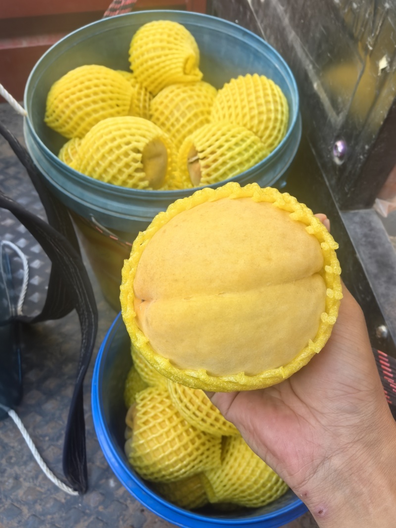 屏山红心黄桃