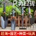 园艺赶海工具工具小锄头农用挖地挖土种菜铁锹钉耙子沙滩铲子
