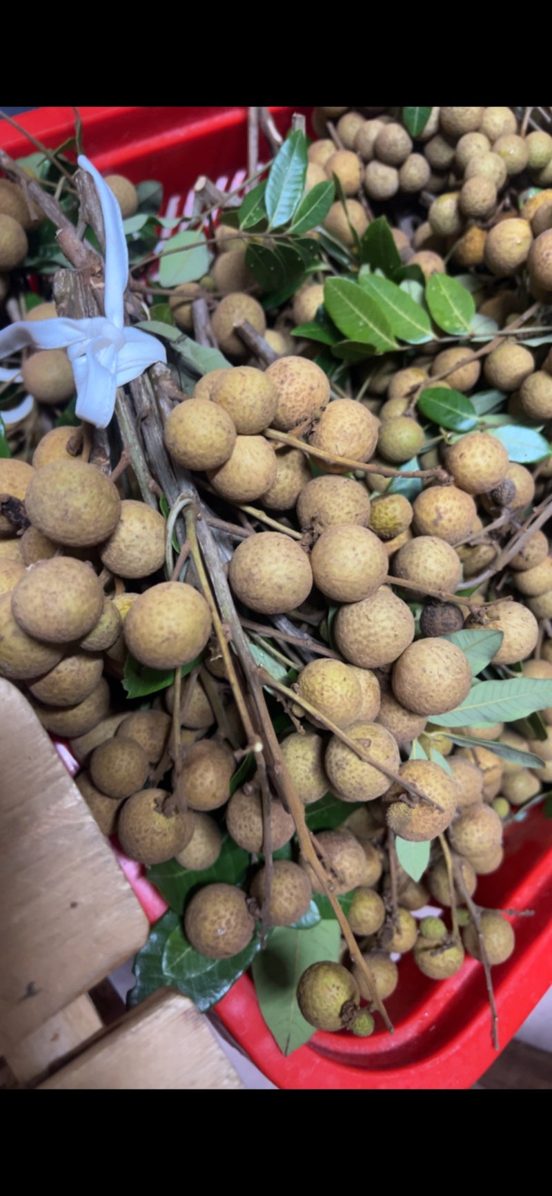 桂圆